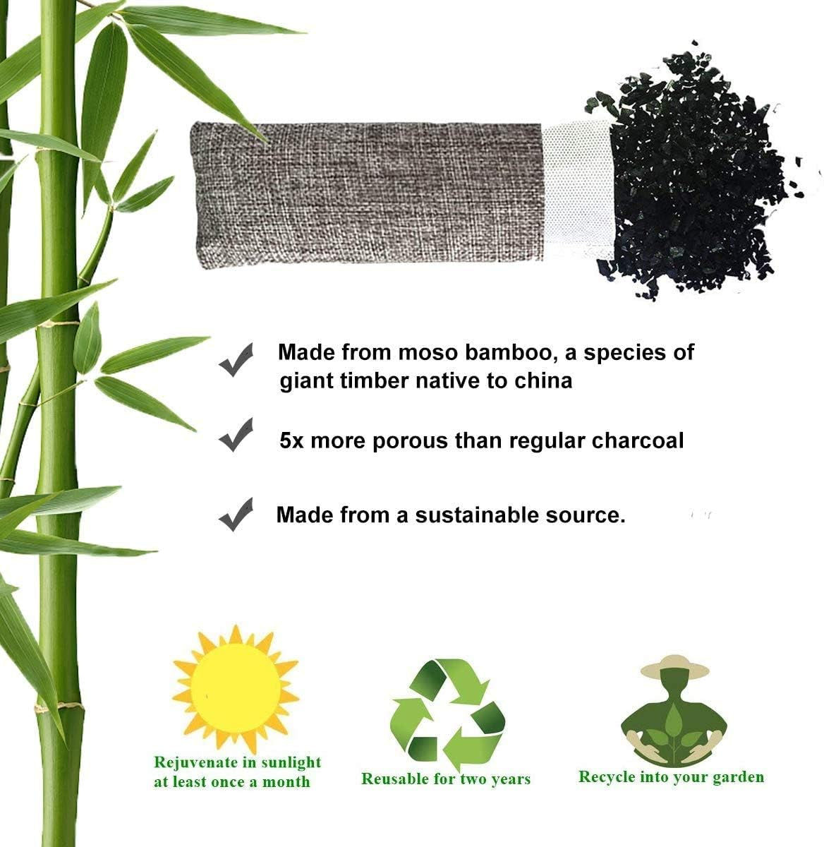 Natural Bamboo Charcoal Bags, Shoe Deodorizer and Odor Remover / Eliminatorr, 10